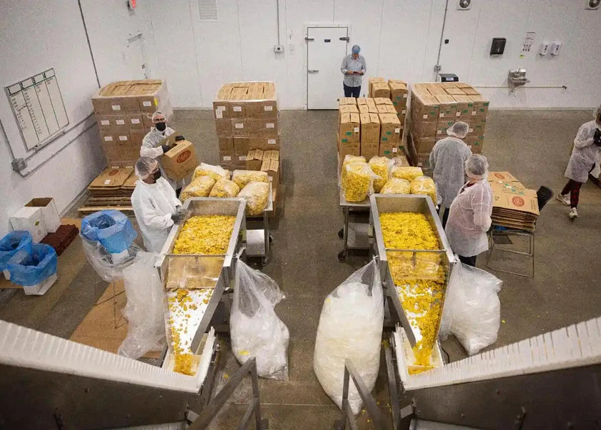 Team members packing plantain chips at the Miami facility